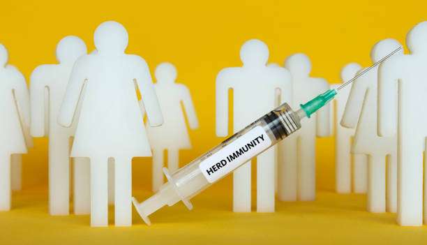 Surviving Together: Understanding Herd Immunity
