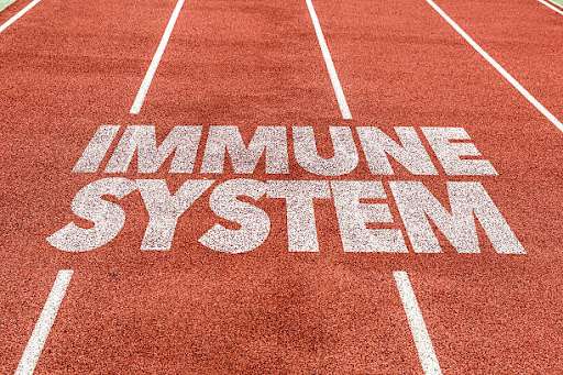 Understanding The Immune Development: From Birth to Adulthood