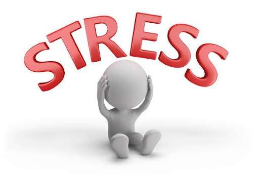 Understanding Stress: Its Impact on the Brain and How to Protect Ourselves